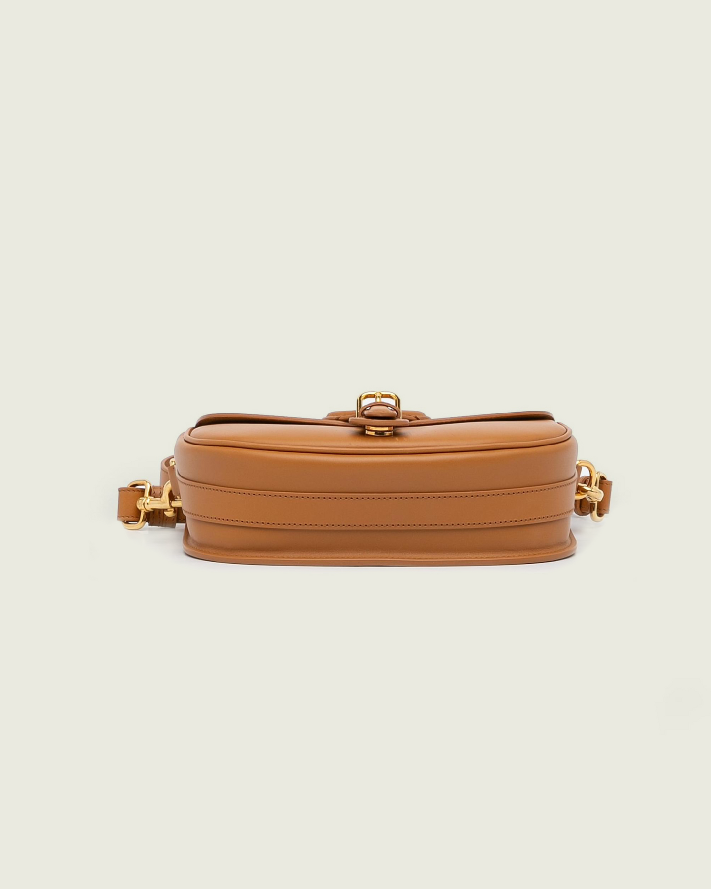 Christian Dior Calfskin Medium